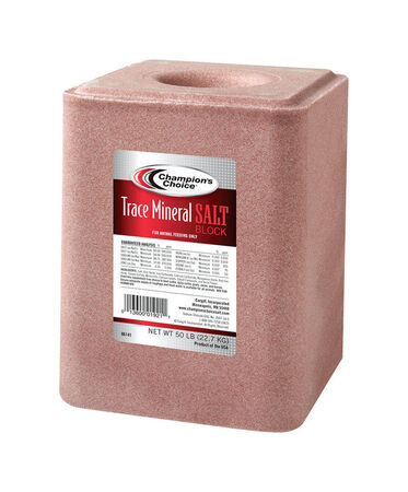 Trace Mineral Block 50 lb 