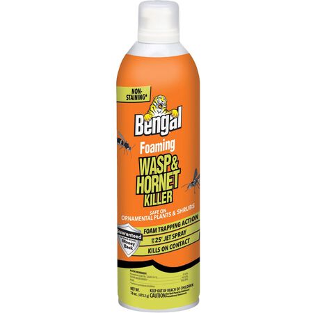 Bengal Foaming Wasp and Hornet Killer 16 oz