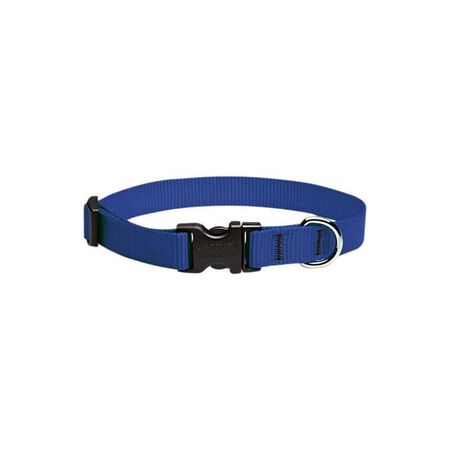 LupinePet Basic Solids Blue Blue Nylon Dog Adjustable Collar