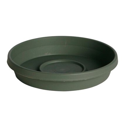 Bloem Terra 2.5 in. H X 13 in. W X 11.25 in. D Resin Traditional Plant Saucer Living Green