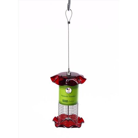 Birds Choice Forever Wild Bird 1 qt Plastic Magnet Mesh Tube Bird Feeder