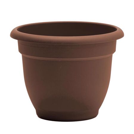 Bloem Ariana 10.25 in. H X 13 in. W Resin Traditional Planter Chocolate