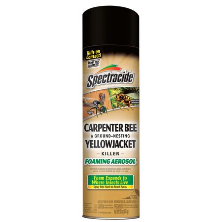 Spectracide Insect Killer Foam 16 oz