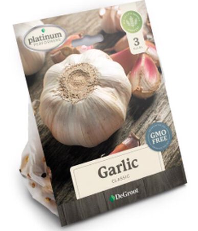 Plant DeGroot California Softneck Garlic Plant 3 pk