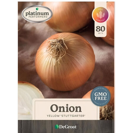 Bulbs DeGroot Yellow Onion