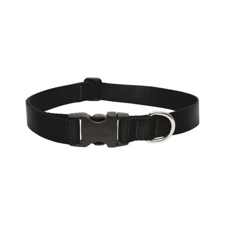 LupinePet Basic Solids Black Black Nylon Dog Adjustable Collar