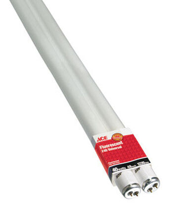 Ace Fluorescent Bulb 40 watts 2900 lumens T12 48 in. L Cool White 2 pk