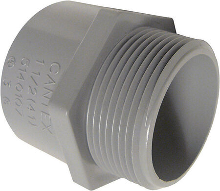 Cantex 3/4 in. D PVC Male Terminal Adapter For Rigid 1 pk
