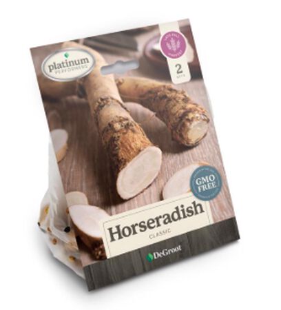 Plant DeGroot Marliner Kren Horseradish Plant 2 pk