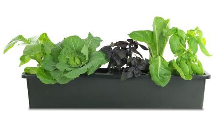 Pennington Window Box Liner Plastic Black 5inx30inx5.5in 14ea