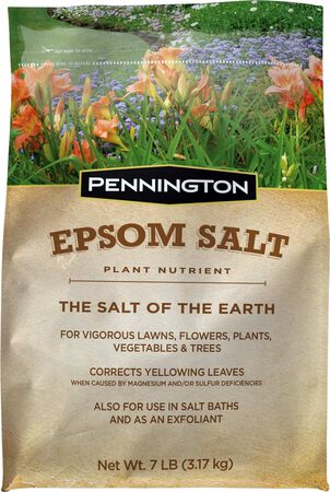Penn ington Epsom Salt 7 lb