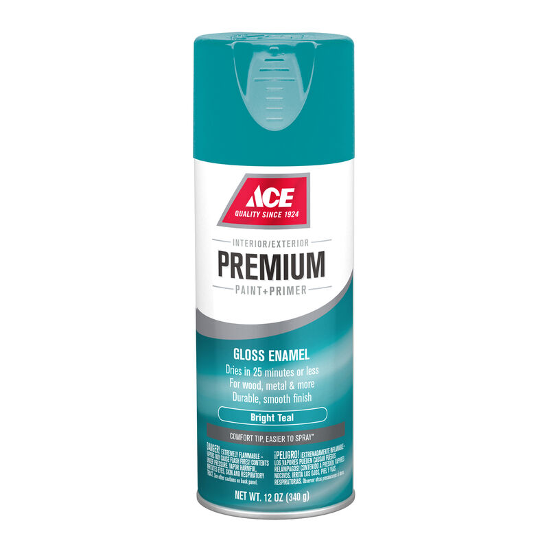 Ace Premium Gloss Bright Teal Paint + Primer Spray Paint 12 oz. Stine