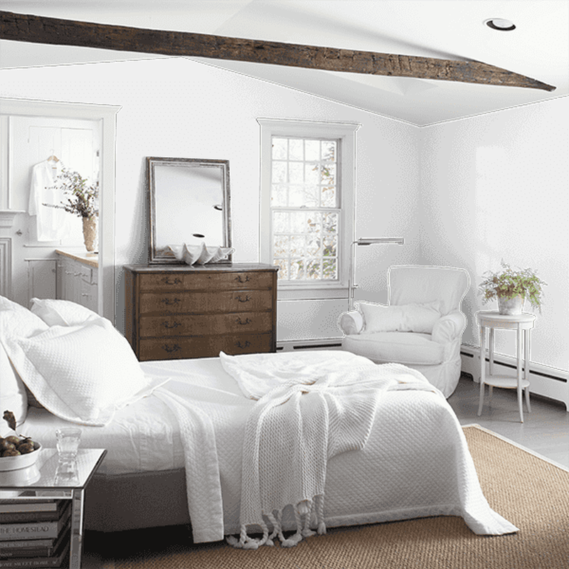 Benjamin Moore Regal Select Eggshell Paint and Primer Interior 1 gal