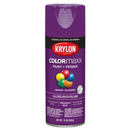 Krylon COLORmaxx K05536007 Spray Paint