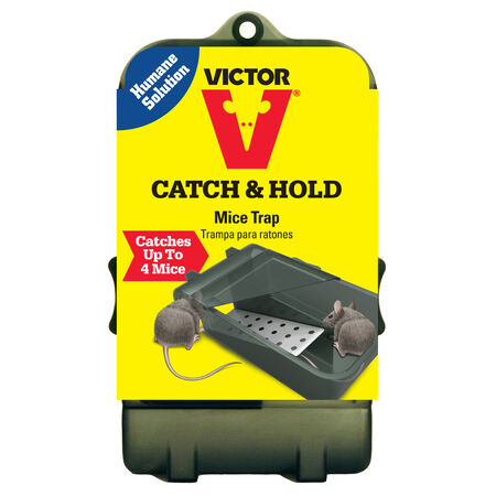 Victor Multiple Catch Animal Trap For Mice 1 pk