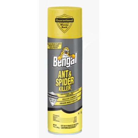 Bengal Spider & Ant Killer Aerosol 16oz