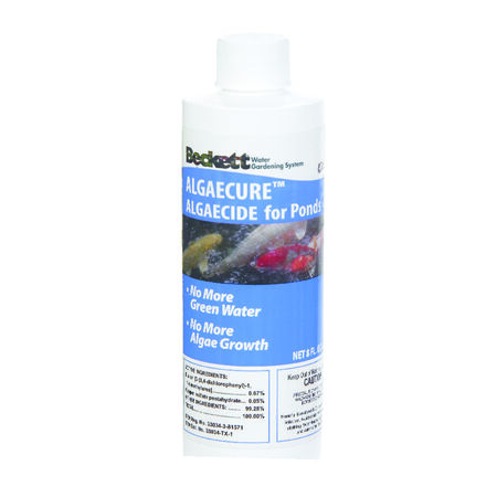 Beckett Algaecure Algaecide 8 oz