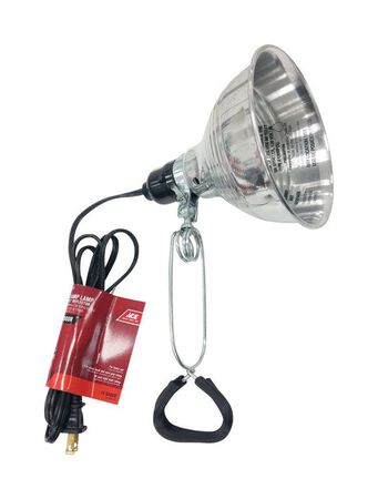 Ace 60 watts Clamp Lamp