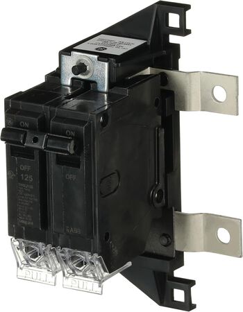 GE PowerMark Gold 125 amps Standard 2-Pole Circuit Breaker