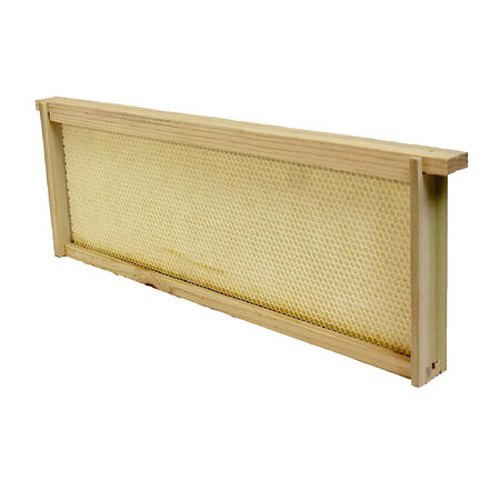 Harvest Lane Honey Bee Hive Foundation, Plastic/Wood, For: 6-7/8 in. Medium Honey Super Boxes