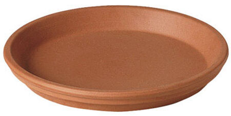 Deroma Terracotta Clay Traditional Plant Saucer 1 in. H x 6.75 in. W