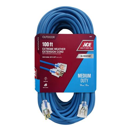 Ace Outdoor 100 ft. L Blue Extension Cord 14/3 SJOW
