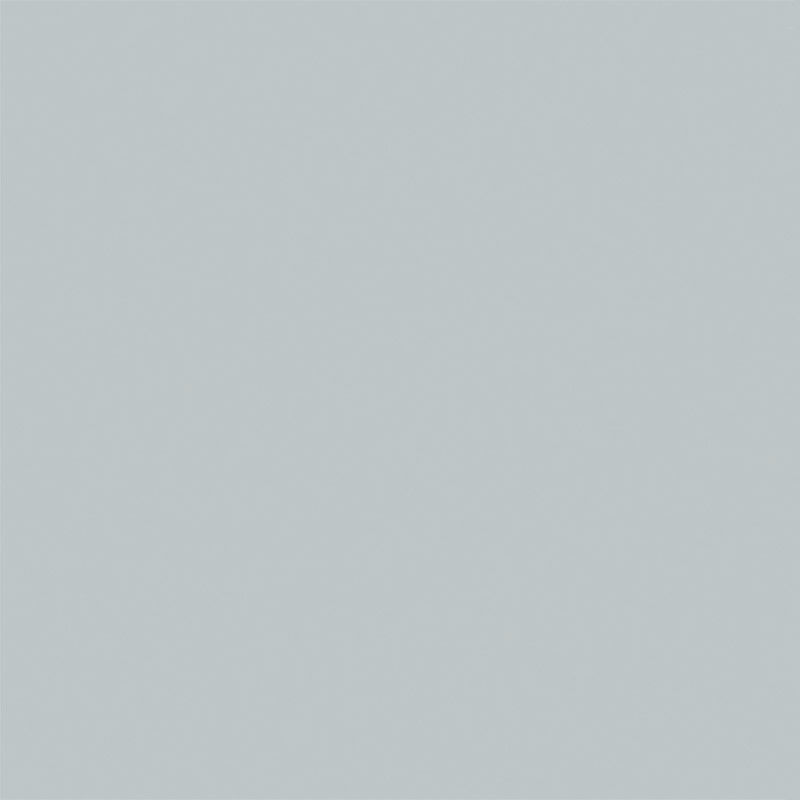 BEYOND PAINT Matte Soft Gray Acrylic AllInOne Paint 1 pt. Stine