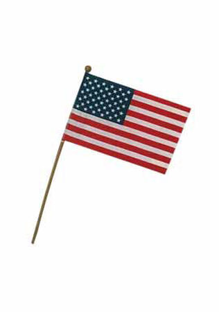 Valley Forge American Flag 8 in. H x 12 in. W