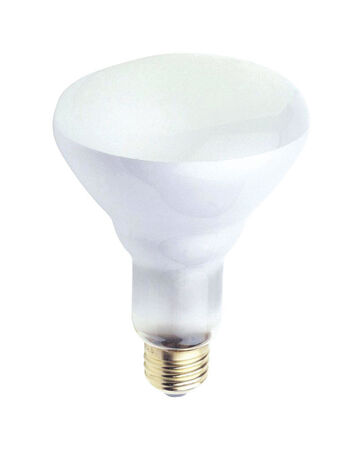Westinghouse 65 W BR30 Floodlight Incandescent Bulb E26 (Medium) White 12 pk