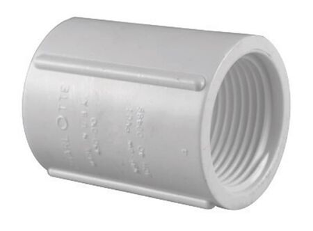 Charlotte Pipe Schedule 40 3/4 in. FPT X 3/4 in. D FPT PVC Coupling 1 pk