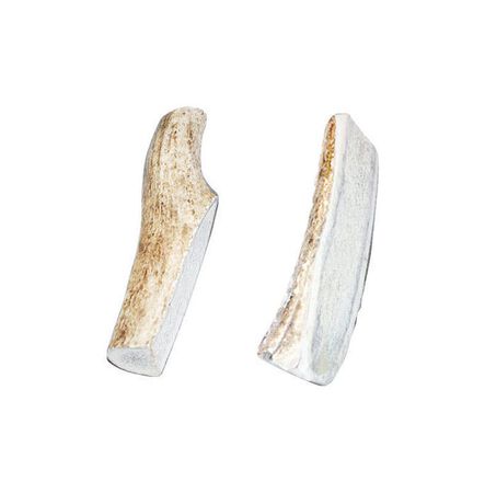Bucky Bites Medium, Large All Ages Rawhide Sticks Antler 4 in. L 2 pk