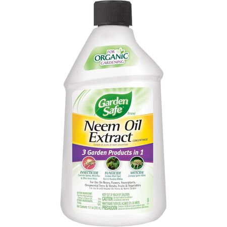 Garden Safe Neem Oil Extract Concentrate 10 oz.