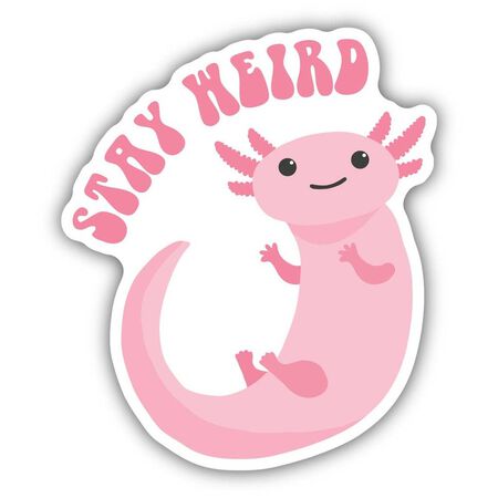 Sticker Northwest Stay Weird Sticker