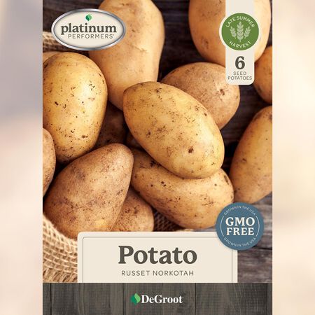 DeGroot Platinum Performers Russet Norkotah Potato Seeds 6 pk