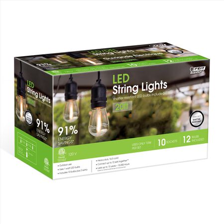Feit Electric LED Edison LED Light String Clear 20 ft. 10 lights