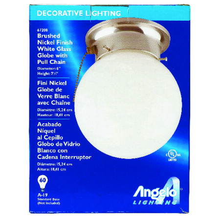 Westinghouse 11.81 in. H X 6 in. W X 6.5 in. L Ceiling Light