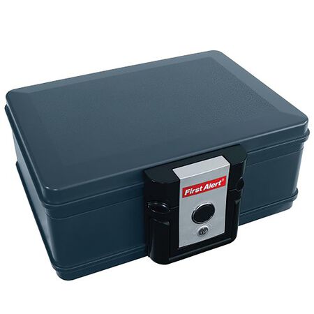 First Alert 0.17 cu. ft. Key Lock Gray Fireproof Safe