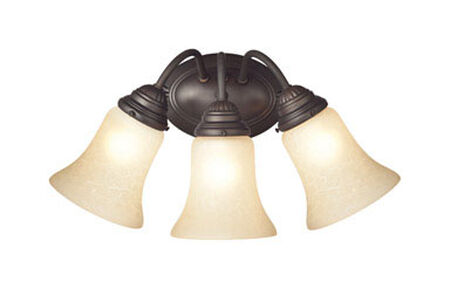 Westinghouse Oil Rubbed Bronze Glass Wall Fixture 1