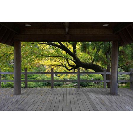 Grip-Rite Nail Patio Wd RS HG 12D 1 lb.