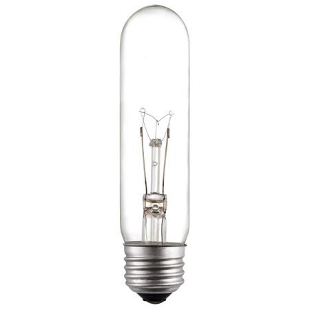 Westinghouse 40 W T10 Tubular Incandescent Bulb E26 (Medium) White 1 pk