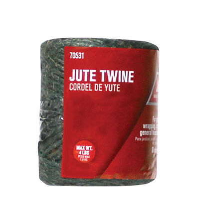 Ace 1/8 in. D X 208 ft. L Green Twisted Jute Twine