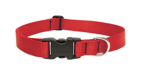 Lupine Pet Basic Solids Red Red Nylon Dog Adjustable Collar