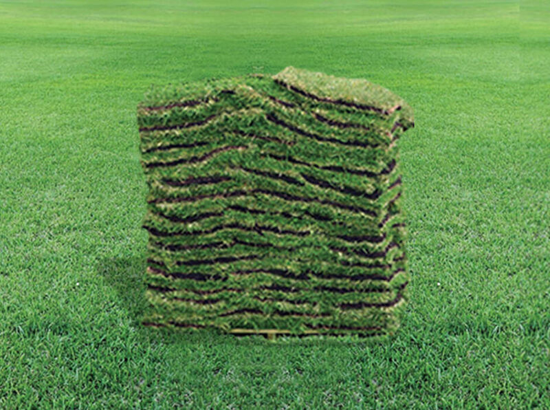 St Augustine Grass Sod 16 X 24 Stine Home Yard The Family You Can Build Around
