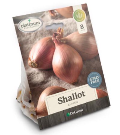 Plant DeGroot Shallots Plant 8 pk