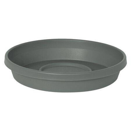 Bloem Terra 1.5 in. H X 7.5 in. W X 6.5 in. D Plastic Traditional Plant Saucer Green