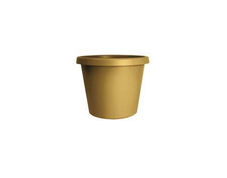 HC companies 6 in. Prima Planter Honey