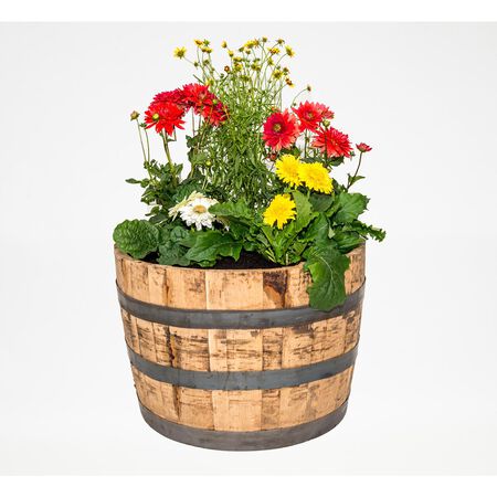 Real Wood Products 17.5 in. H X 26 in. W X 26 in. D Oak Whiskey Barrel Barrel Brown