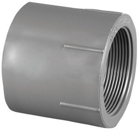 Charlotte Pipe Schedule 80 1 in. Slip X 1 in. D FPT PVC Pipe Adapter 1 pk