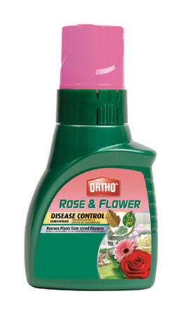 Ortho Rose & Flower Disease Control 16 oz. Concentrated