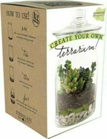 Terrarium DIY Kit